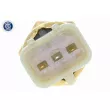 Sonde de température, liquide de refroidissement VEMO V53-72-0055 - Visuel 2