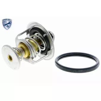 Thermostat d'eau VEMO V55-99-0002