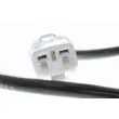 Capteur, vitesse de roue avant droit VEMO V64-72-0025 - Visuel 2