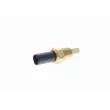 Sonde de température, liquide de refroidissement VEMO V70-72-0002 - Visuel 1