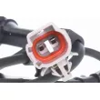 Capteur, vitesse de roue avant gauche VEMO V70-72-0031 - Visuel 2