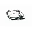 Capteur, vitesse de roue avant droit VEMO V70-72-0160 - Visuel 1