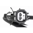 Capteur, vitesse de roue avant droit VEMO V70-72-0348 - Visuel 2