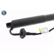 Moteur électrique, hayon VEMO V95-55-0001 - Visuel 3