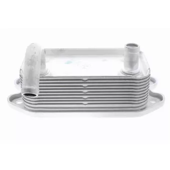 Radiateur d'huile VEMO V95-60-0008