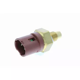 Sonde de température, liquide de refroidissement VEMO V95-72-0025