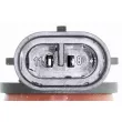 Ampoule, projecteur longue portée VEMO V99-84-0077 - Visuel 2