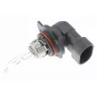 Ampoule, projecteur longue portée VEMO V99-84-0080 - Visuel 1