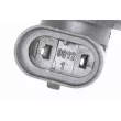 Ampoule, projecteur longue portée VEMO V99-84-0080 - Visuel 2