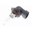 Ampoule, projecteur longue portée VEMO V99-84-0081 - Visuel 1