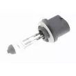 Ampoule, projecteur antibrouillard VEMO V99-84-0086 - Visuel 1