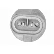 Ampoule, projecteur antibrouillard VEMO V99-84-0086 - Visuel 2
