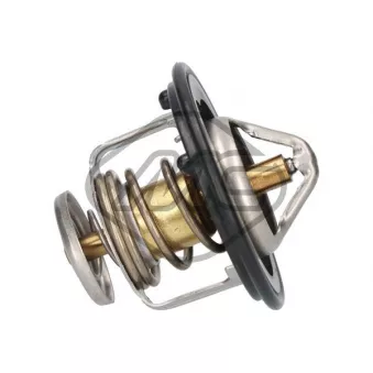Thermostat d'eau Metalcaucho 30984
