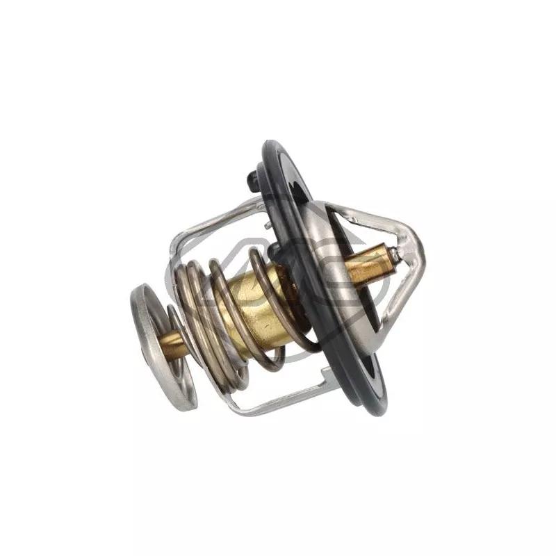 Thermostat d'eau Metalcaucho 30984