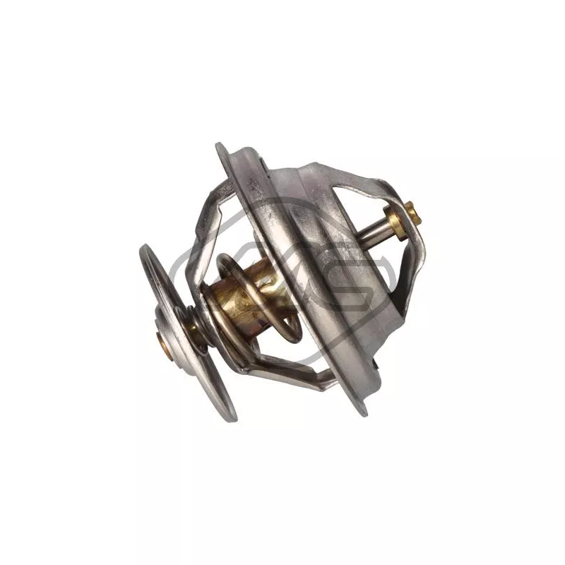Thermostat d'eau Metalcaucho 30986