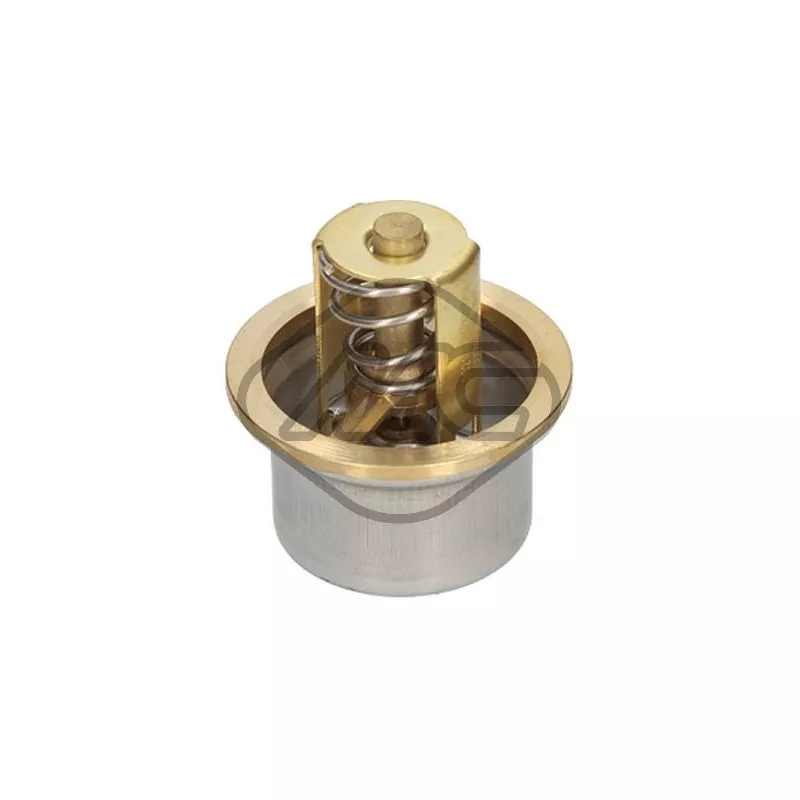 Thermostat d'eau Metalcaucho 31266