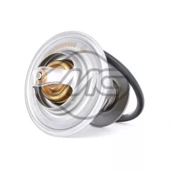 Thermostat d'eau Metalcaucho 31303