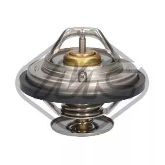 Thermostat d'eau Metalcaucho 31304
