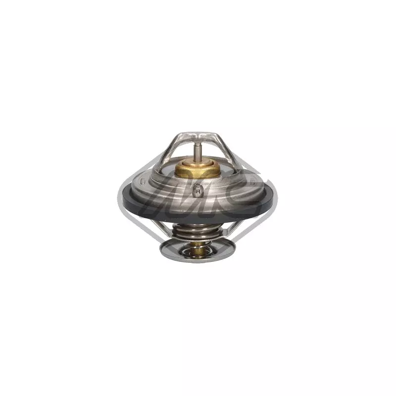 Thermostat d'eau Metalcaucho 31304