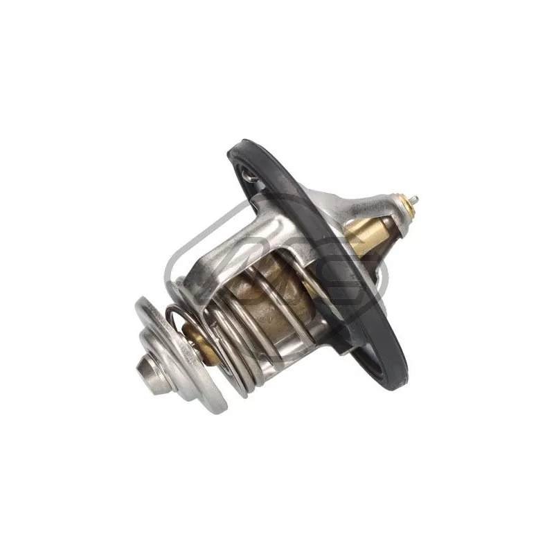 Thermostat d'eau Metalcaucho 31310