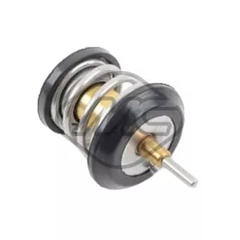 Thermostat d'eau Metalcaucho 31311