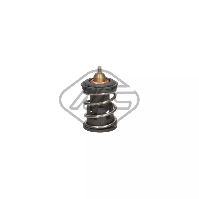 Thermostat d'eau Metalcaucho 31315