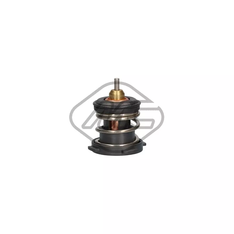 Thermostat d'eau Metalcaucho 31317