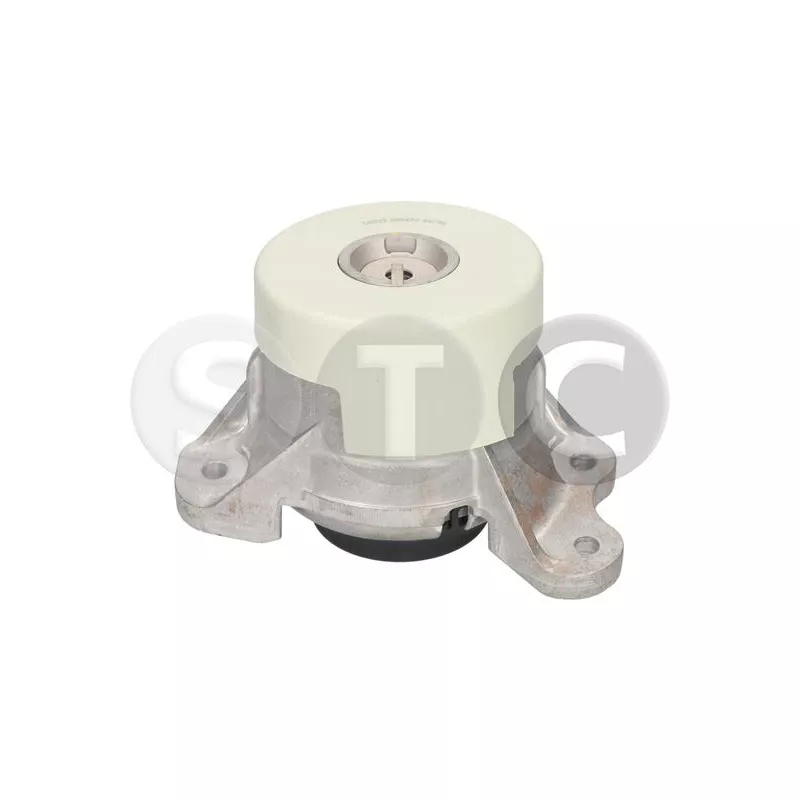Support moteur avant droit STC T454730