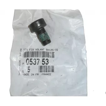 Vis, Volants de moteur OE 053753