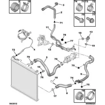Tuyau De Radiateur OE 1341J3
