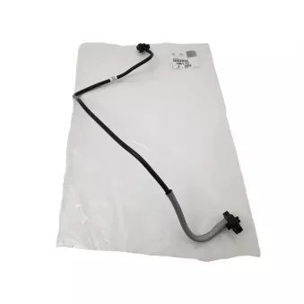 Tuyau De Radiateur OE 1351PZ