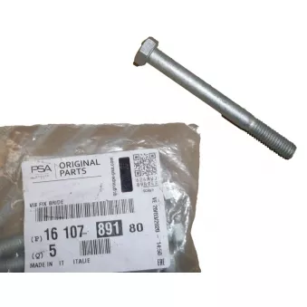 Vis, fixation de buse d'injection OE 1610789180