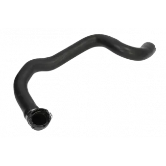 Tuyau De Radiateur OE 1351QA