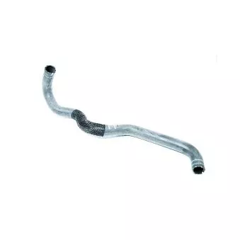 Tuyau De Radiateur OE 1658462580