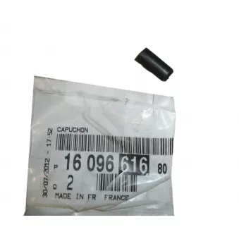 Bonnette, projecteur principal OE 1609661680