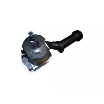 Pompe De Direction Assistée OE 1617246280