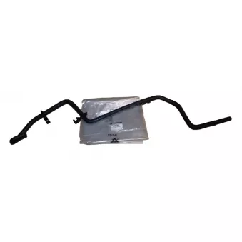 Tuyau De Radiateur OE 217415890R
