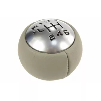 Levier De Vitesse OE 2403FH