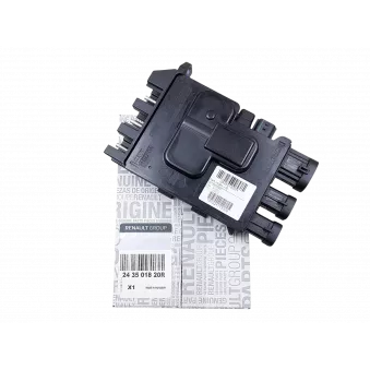 Calculateur OE 243501820R