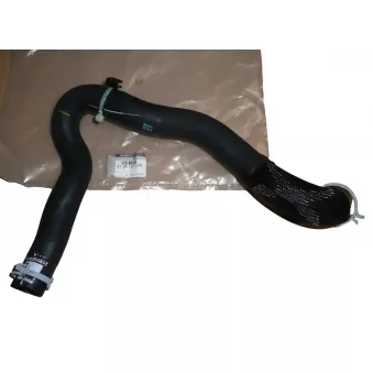 Tuyau De Radiateur OE 215015757R