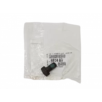 Vis, Volants de moteur OE 691489