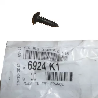 Clips divers OE 6924K1