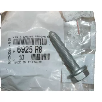 Vis, Turbocompresseurs OE 6925R8