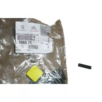 Bonnette, projecteur principal OE 696871