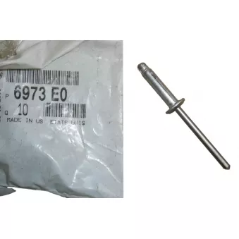 Clip, enjoliveur OE 6973E0
