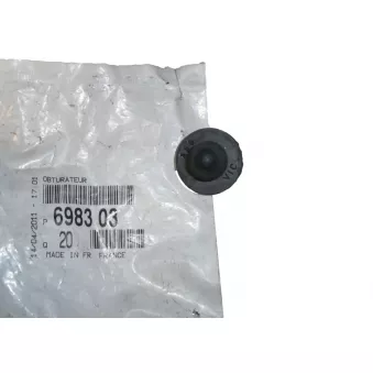 Clip, enjoliveur OE 698303
