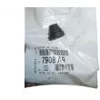 Absorbeur, Hayon OE 7908A9 - Visuel 1