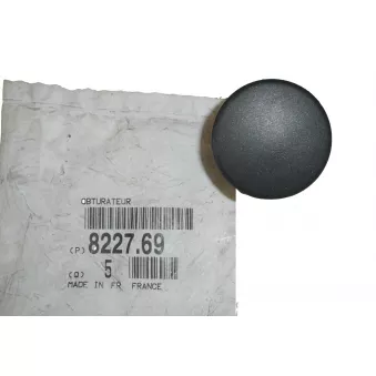 Bonnette, projecteur principal OE 822769