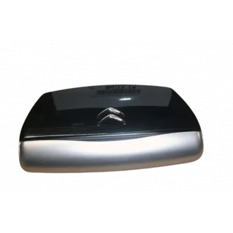 Rétroviseur extérieur OE 945315