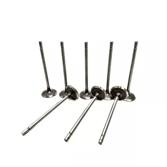 Bague d'étanchéité, conduite de réfrigérant OE